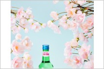 봄 벚꽃 에디션 열풍…식음료업계 ‘춘심 공략’