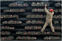 OECD, 급증하는 중국 철강 수출에 경고…글로벌 시장 분열 우려
