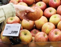 사과값 1년 새 135.8% 올라…생산자물가 4개월 연속 상승