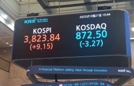 코스피, 0.24% 상승...삼성·SK하이닉스는↓