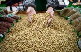 대두 가격, 美·中 무역협상 앞두고 상승세