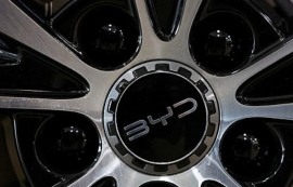 비야디, 英 판매량 6배 증가 "테슬라 제쳐"