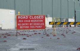 구글, 크리스마스섬에 AI 데이터센터 추진