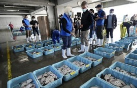 “中, 日 수산물 수입 중단...日 170개 기업 영향"