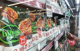 비비고 김치, 북미서 매출 40% 이상 뛰었다