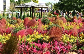 기후위기 시대, 돌봄·회복의 정원도시 '주목'