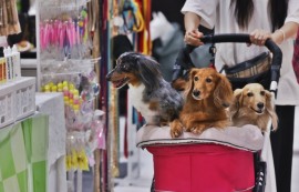 “韓 출산율, 반등했지만 구조적 전환 미지수”