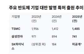 삼성·SK하이닉스, 대만 특허 출원 '사상 최대'