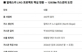 호르무즈 해협 봉쇄, 알래스카 LNG 살리나