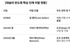 테슬라 테라팹, TSMC·삼성전자 넘을 수 있나