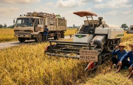 태국, '디젤 대란'에 식량·물류 공급망 마비