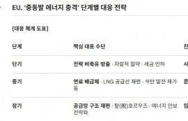 EU, 호르무즈 해협 봉쇄로 연료 배급제 검토