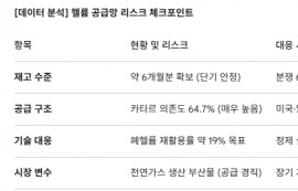 헬륨 대란 경고에 삼성·SK하닉 ‘탈중동’ 총력