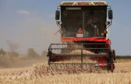 비료값 50% 폭등에 세계 식량 공급 ‘비상’