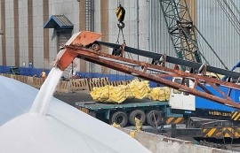 호르무즈 봉쇄 두달째, 요소 비료 50% 폭등