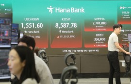신용대출·카드론 받아 '불나방' 된 개미들