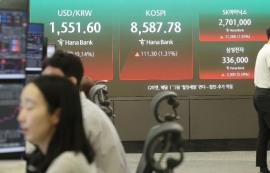 신용대출·카드론 받아 '불나방' 된 개미들
