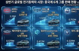 中 전기차 6개사, 상반기 세계 점유율 62.3%