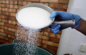 태국, 사탕수수 수확량 12.5% 급감…설탕 가격 상승 우려↑