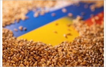 우크라이나, 동유럽 3개국에 대한 곡물 수출 제한 소송 중단