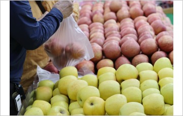 4월 소비자물가 2%대 ‘둔화’…과일값 여전히 강세