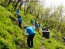 HK이노엔, 나무심기 캠페인 '건강한 숲, 편안한 숨' 실시 外