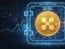 XRP 장기 투자 성공하려면 '공황 매도' 막는 XRPL 에스크로 활용하라
