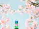 봄 벚꽃 에디션 열풍…식음료업계 ‘춘심 공략’