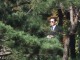 故 이건희 선대회장 5주기 추도식…이재용 등 삼성家·경영진 헌화