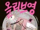 CJ올리브영, ‘셔터브리티’ 6기 모집