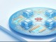 애플·엔비디아 몰려간다… TSMC, 1.4나노 공장 4곳 2028년 출격