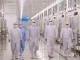 메타 AI '뮤즈' 돌풍에 한국 PCB 주식 일제히 폭등