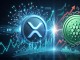 XRP vs 카르다노 연말까지 더 확실한 회복 경로 쥔 쪽은?