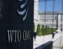WTO 13차 각료회의서 농·수산업 등 핵심과제 합의 불발…전자상거래 관세는 2년 유예